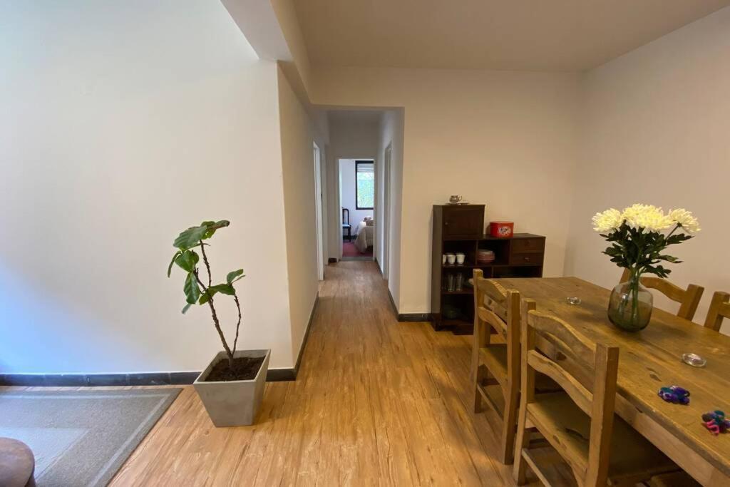 Departamento Centrico A Metros De Plaza Belgrano Lejlighed San Salvador de Jujuy Eksteriør billede